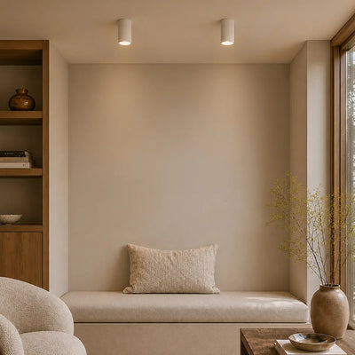 Minzie Surface Mounted Downlight