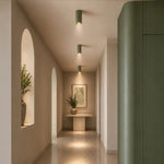 Minzie Surface Mounted Downlight