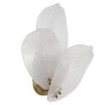 Monte Wall Light