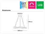 Solara Large 1Lt Pendant Light