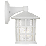 Nadira Outdoor Wall Light 1Lt