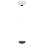 Nori Floor Lamps 1 LT in Black/Opal Matt
