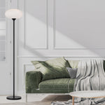 Nori Floor Lamps 1 LT in Black/Opal Matt