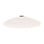 Oriel BROLLI.35