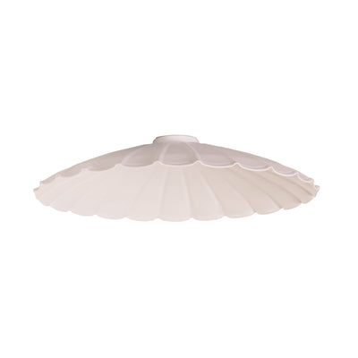 Oriel BROLLI.35