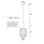 OL63751_13_DIMS