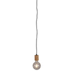 Oriel PLUG