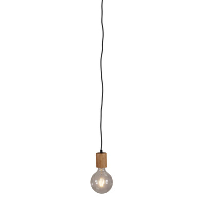 Oriel PLUG
