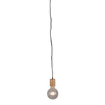 Oriel PLUG
