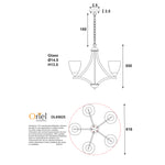 OL65825_DIMS