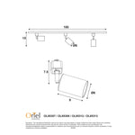 OL85312_DIMS