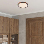 Orlin 42Cm 24W LED Oyster Step Dimmable Ceiling Light — lifestyle