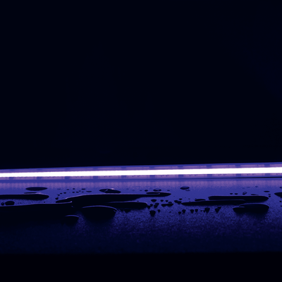 Domus PLEX RGB 14W P/M COB Strip 24V IP54 840LED/M 1m