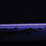 Domus PLEX RGB 14W P/M COB Strip 24V IP67 840LED/M 1m