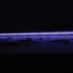 Domus PLEX RGB 14W P/M COB Strip 24V IP54 840LED/M 1m