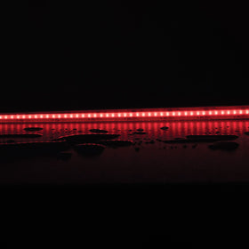 Domus PLEX-Rgb+tune/Wht 21W P/M COB Strip 24V IP67 840LED/M 50M Pack