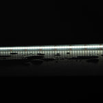 Domus PLEX RGB 14W P/M COB Strip 24V IP54 840LED/M 1m