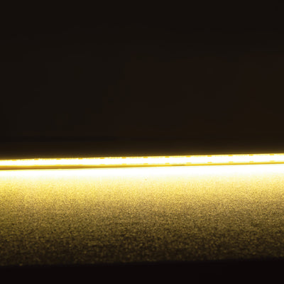 Domus PLEX-VIVID 15W P/M Colour COB Strip 24V IP54 640LED/M 1m