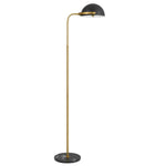 Pollard Floor Lamp in Black/Antique Gold