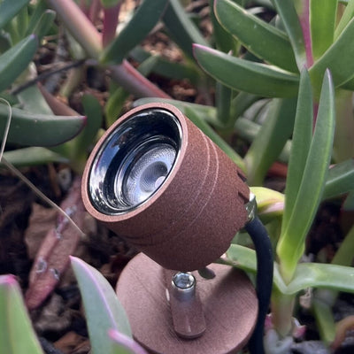 Rilto 24V Exterior LED Spike Spot Light — lifestyle