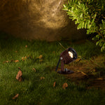 Rilto 24V Exterior LED Spike Spot Light — lifestyle