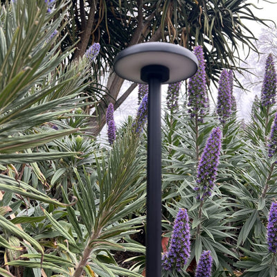 Scape 24V Exterior LED Post Spike Light — lifestyle