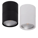 Surface Mounted LED Downlight 12w Black, White CCT HCP-89X1214 Havit Commercial