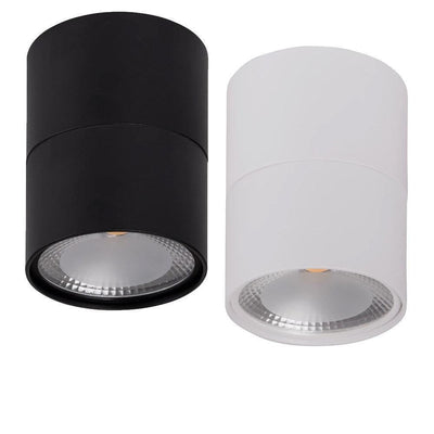 Surface Mounted LED Downlight 12w Black, White CCT HCP-89X1214 Havit Commercial