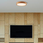 Thalia 40Cm 24W LED Oyster Step Dimmable Ceiling Light — lifestyle
