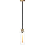 Cougar Bourne Pendant in Black
