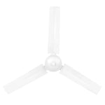 Brilliant Lighting Ceiling Fans 48" Airmotion-II AC Ceiling Fan White 21553/05 Brilliant Lighting Lights-For-You 21553/05