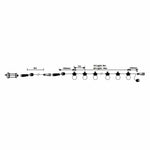 Brilliant Lighting Lighting Celebrate LED Festoon Light Kit 10Lt 6w Black Lights-For-You 22082/06