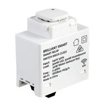 Brilliant Lighting Lighting Smart WiFi Relay Mech Switch in White Lights-For-You 21322