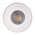 Surface Mounted LED Downlight 12w Black, White CCT CRI 90+ HCP-89X1234 Havit Commercial