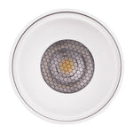 Surface Mounted LED Downlight 12w Black, White CCT CRI 90+ HCP-89X1224 Havit Commercial