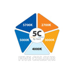 Surface Mounted LED Downlight 24w Black, White CCT CRI 90+ HCP-89X2424 Havit Commercial