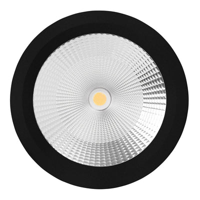 210mm LED Downlight 38w Stainless Steel, Black, White CCT CRI 90+ HCP-81XX2138 Havit Commercial