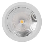 210mm LED Downlight 38w Stainless Steel, Black, White CCT CRI 90+ HCP-81XX2138 Havit Commercial