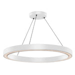 Circa LED Pendant Light 65w 800mm in Black/White Havit Commercial - HCP-68X13X, HCP-68X13X