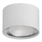 Surface Mounted LED Downlight 12w Black, White CCT HCP-8921204, HCP-8931204 Havit Commercial