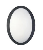 CLA Lighting Led lights Outdoor LED Bulkhead Light Oval 12W Lights-For-You BULK3 9326191015816