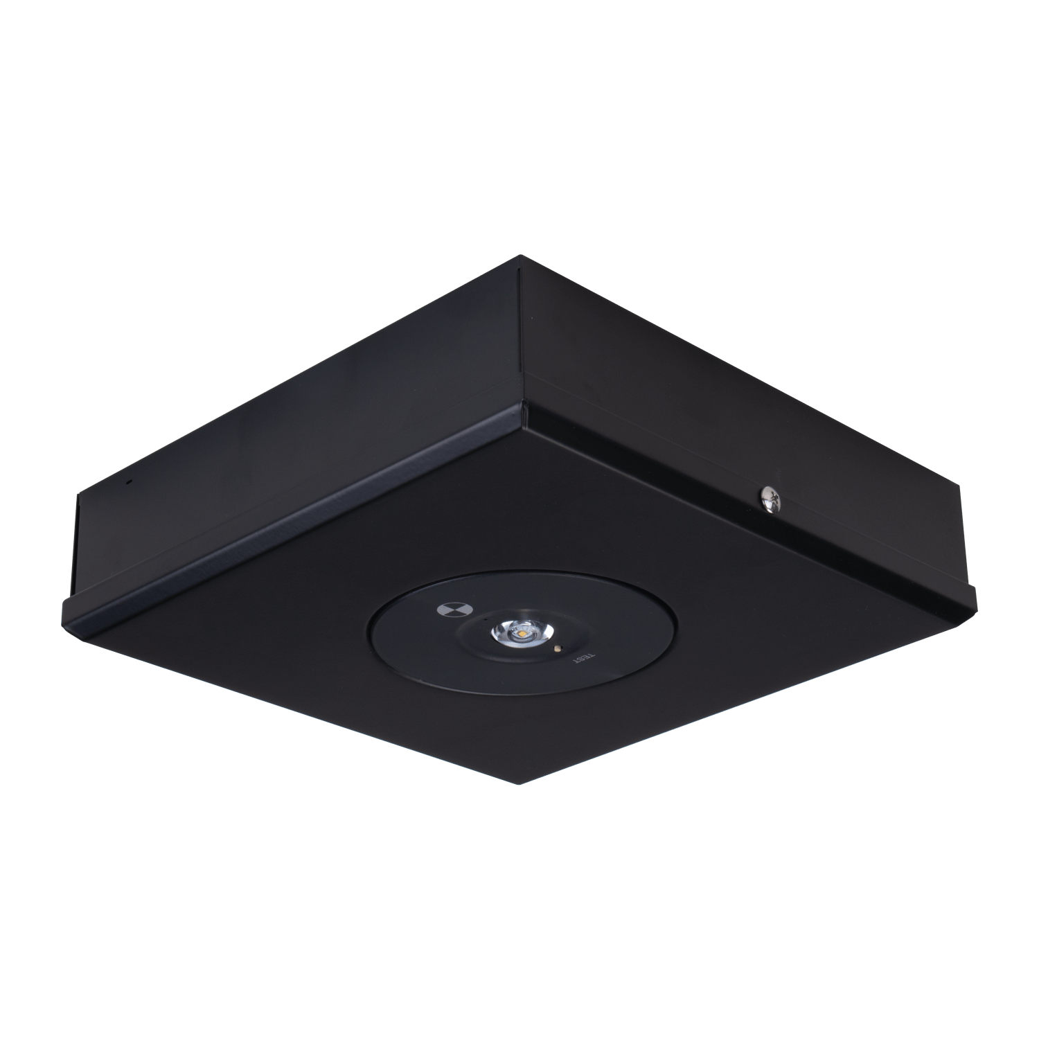 Domus Lighting Emergency Recess Black DOMUS SURFACE EMERGENCY D63 RECESS Lights-For-You 66045