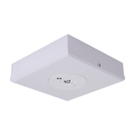 Domus Lighting Emergency Recess DOMUS SURFACE EMERGENCY D63 RECESS Lights-For-You 66044 9330772660449