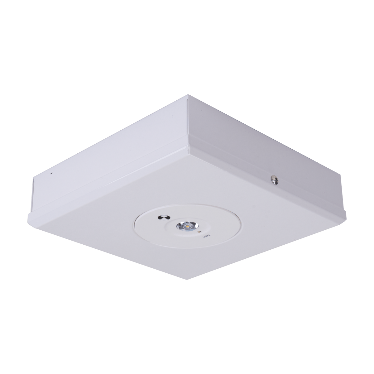 Domus Lighting Emergency Recess DOMUS SURFACE EMERGENCY D63 RECESS Lights-For-You 66044 9330772660449