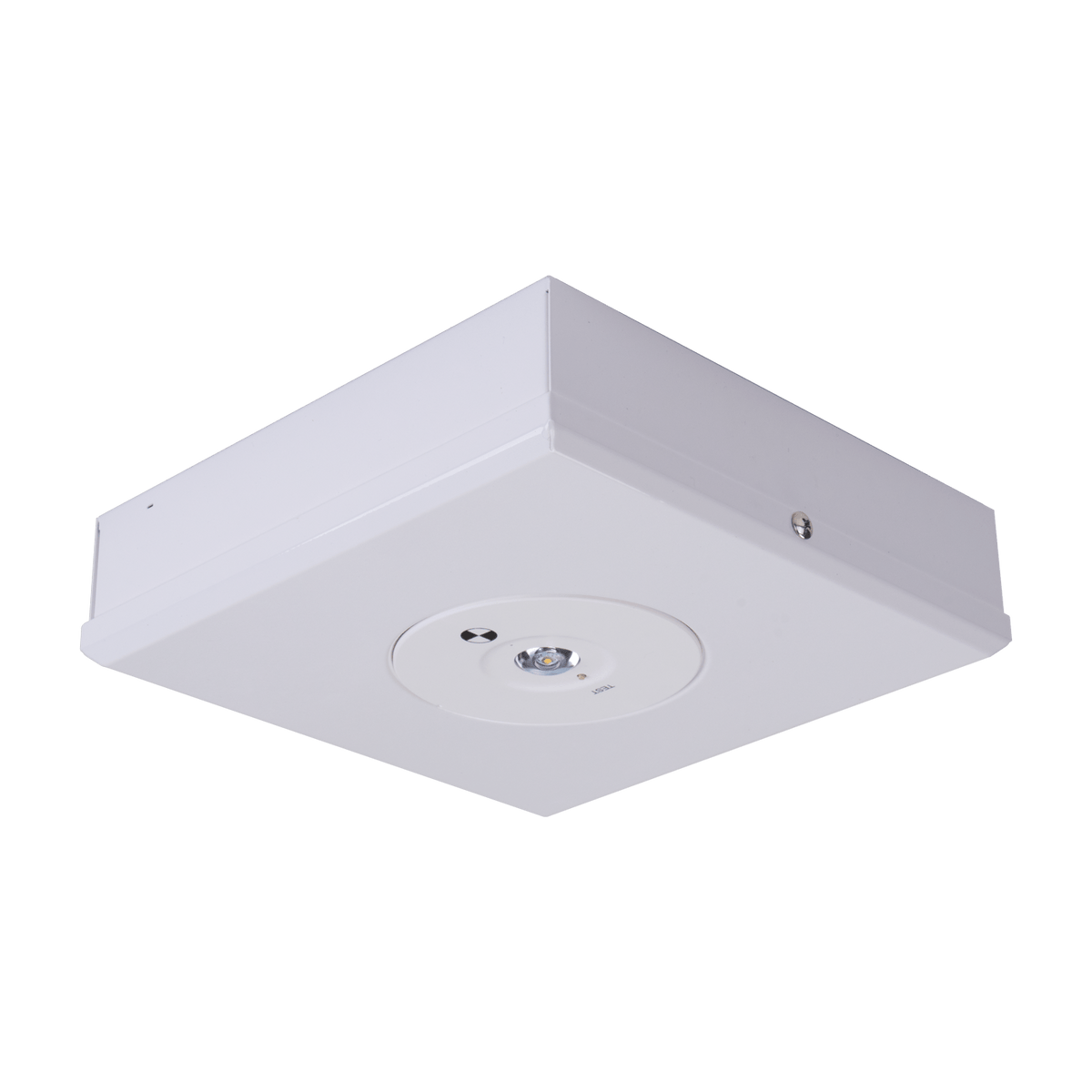 Domus Lighting Emergency Recess White DOMUS SURFACE EMERGENCY D63 RECESS Lights-For-You 66044
