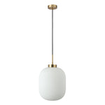 Domus Lighting Indoor Pendants DOMUS FLAUNT GLASS PENDANT E27 Lights-For-You 22742 9330772227420