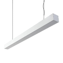 Domus Lighting Indoor Pendants Domus MAX-75 Down Suspension Pendant Lights-For-You 22380 9330772223804