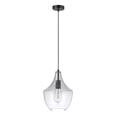 Domus Lighting Indoor Pendants DOMUS SAIL GLASS PENDANT E27 GLASS Lights-For-You 22753 9330772227536