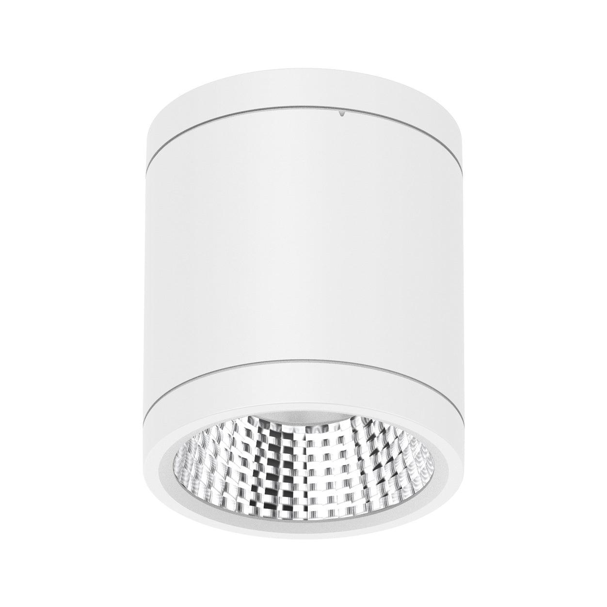 Domus Lighting LED Downlights 13W / WHITE Domus Neo-Pro Surface Mounted Downlight Lights-For-You 20891