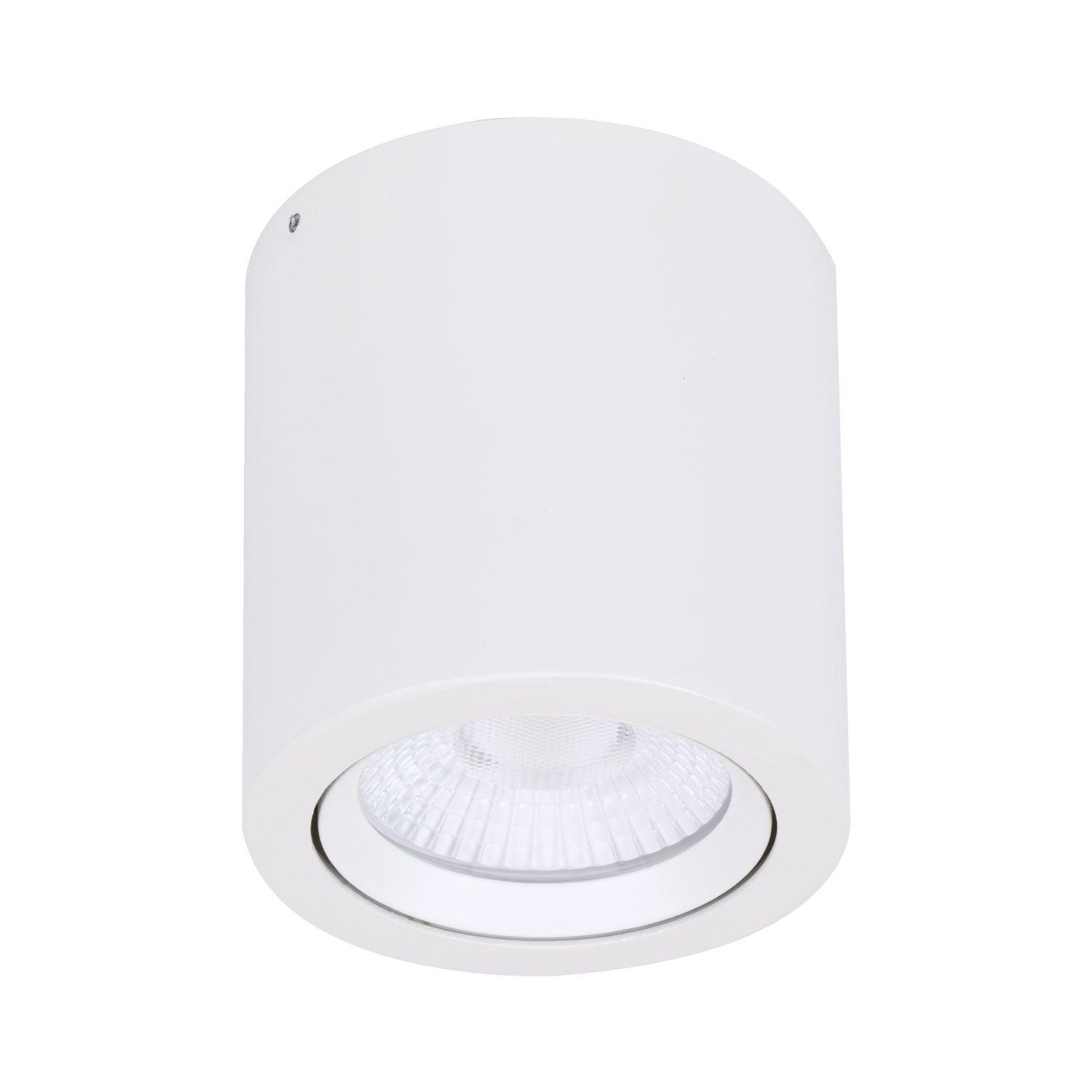 Domus Lighting LED Downlights Neo-SM Tiltable Surface Mounted Led Downlight Lights-For-You